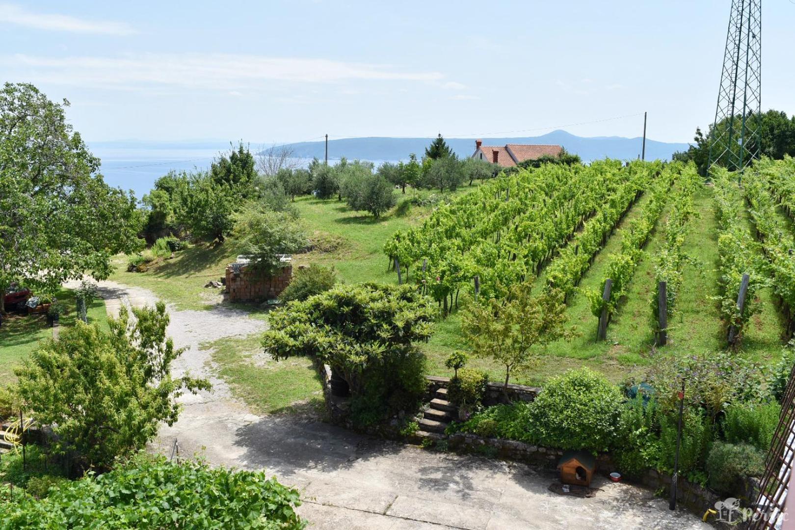 Apartman Persic Mošćenička Draga Buitenkant foto